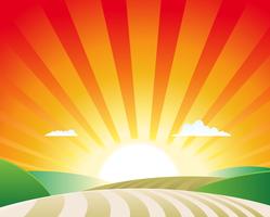 Agriculture Landscape vector