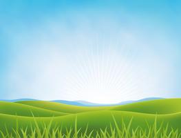 Summer Or Spring Meadows Background vector