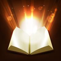 Libro santo y magico vector