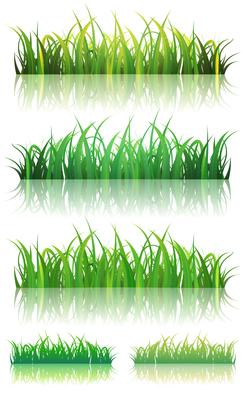 Spring Or Summer Green Grass Set