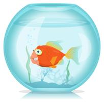 Gold Fish In Aquarium vector