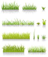 Green Grass Set vector