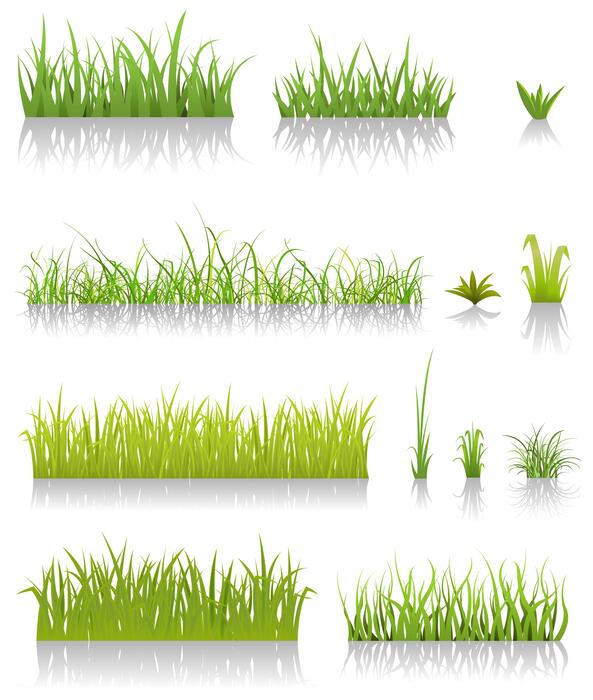 Prairie Grass Vector Art, Icons, and Graphics for Free Download