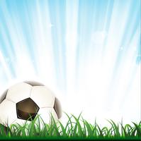 Football Background vector