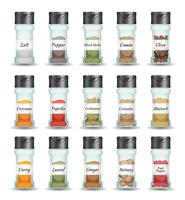 Spices, Pepper, Seeds And Condiment Set vector