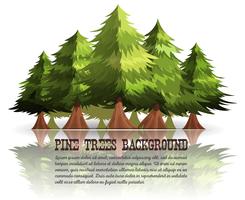 Fondo de árboles de pino y abetos vector