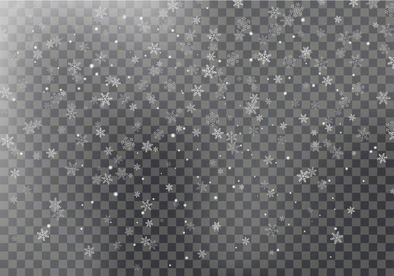 Falling snowflakes isolated on grey background