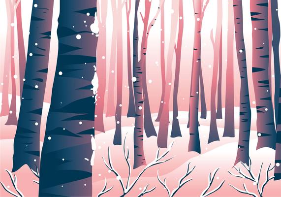 Winter Forrest Scene Landscape