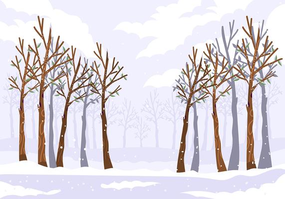 Winter Forest