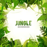 Jungle Tropical Decoration Background