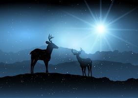 Winter background with deer 