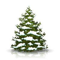 Christmas Pine Tree With Snow vector