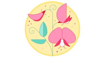 Orchid Vector