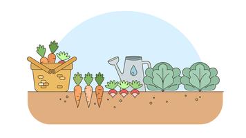 Vegetable Garden Vector Art Icons And Graphics For Free Download