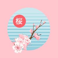 Cherry Blossom Flowers Vector