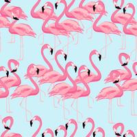 Tropical flamingo bird seamless pattern background vector