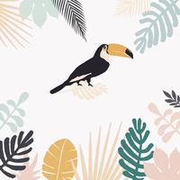 Tropical jungle leaves background with toucan vector