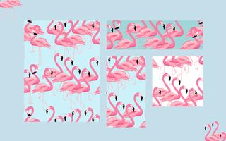 Tropical flamingo birds cards background vector