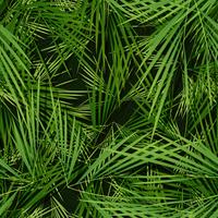 Seamless Palm Trees Leaves Wallpaper vector