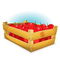 Cajón Con Tomates vector