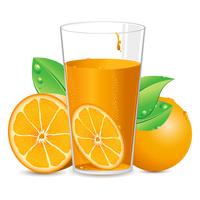 Orange Juice vector