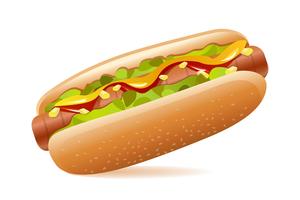 Hotdog vector