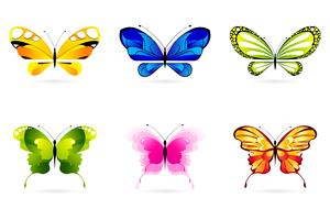 Set of Butterflies vector