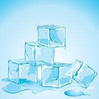 Cubos de hielo vector