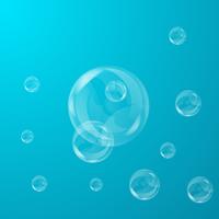 Bubbles vector