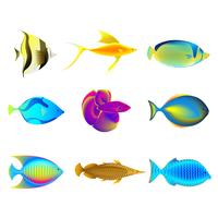 Colorful Fishes vector