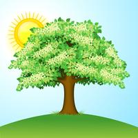 Green Tree vector