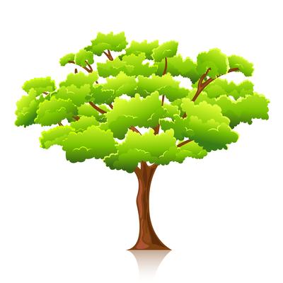 Big Tree