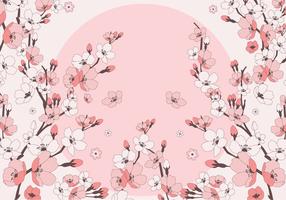 Cherry Blossoms Vector