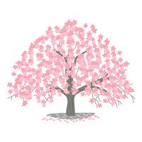 Cherry Blossom Tree vector