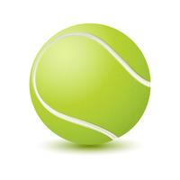 Pelota de tenis vector