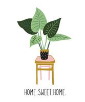 Dibujado a mano las plantas tropicales de la casa. Diseño de impresión vectorial con letras - 'hogar dulce hogar'. vector