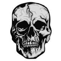 cráneo grunge escudo de armas vector