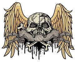 cráneo grunge escudo de armas vector
