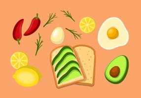 Avocado Toast Ingredients vector