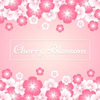 Cherry Blossom Spring Sakura Flowers On Pink Background vector