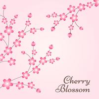 Fondo de diseño de primavera de flor de cerezo vector