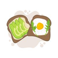 avocado toast vector