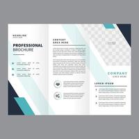 Professional Brochure Vector Template