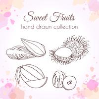 Set of hand drawn fresh fruits with colorful watercolor splashes vector