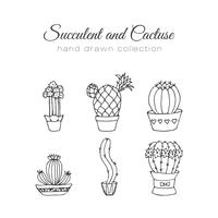 Set de suculentos y cactus dibujados a mano. vector