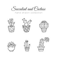 Hand drawn succulent and cacti set vector