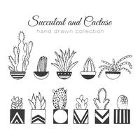 Set de suculentos y cactus dibujados a mano. vector