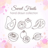 Set of hand drawn fresh fruits with colorful watercolor splashes vector