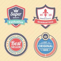 Vintage Retro Vector Logo para banner