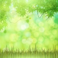 Natural green background with vector grass.